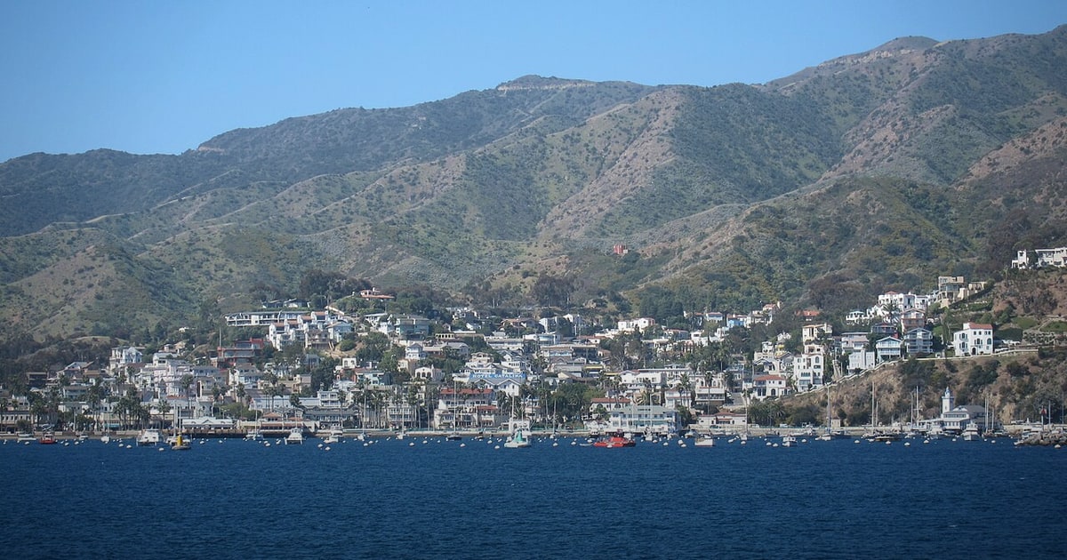 AvalonBay Surpasses Q1 Profitability Expectations Amid Broad Multifamily Strength