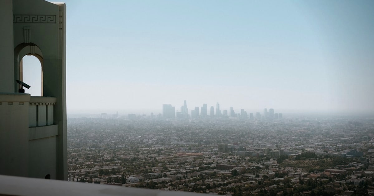 Legal Sector Drives Office Recovery with Record Leasing Volume